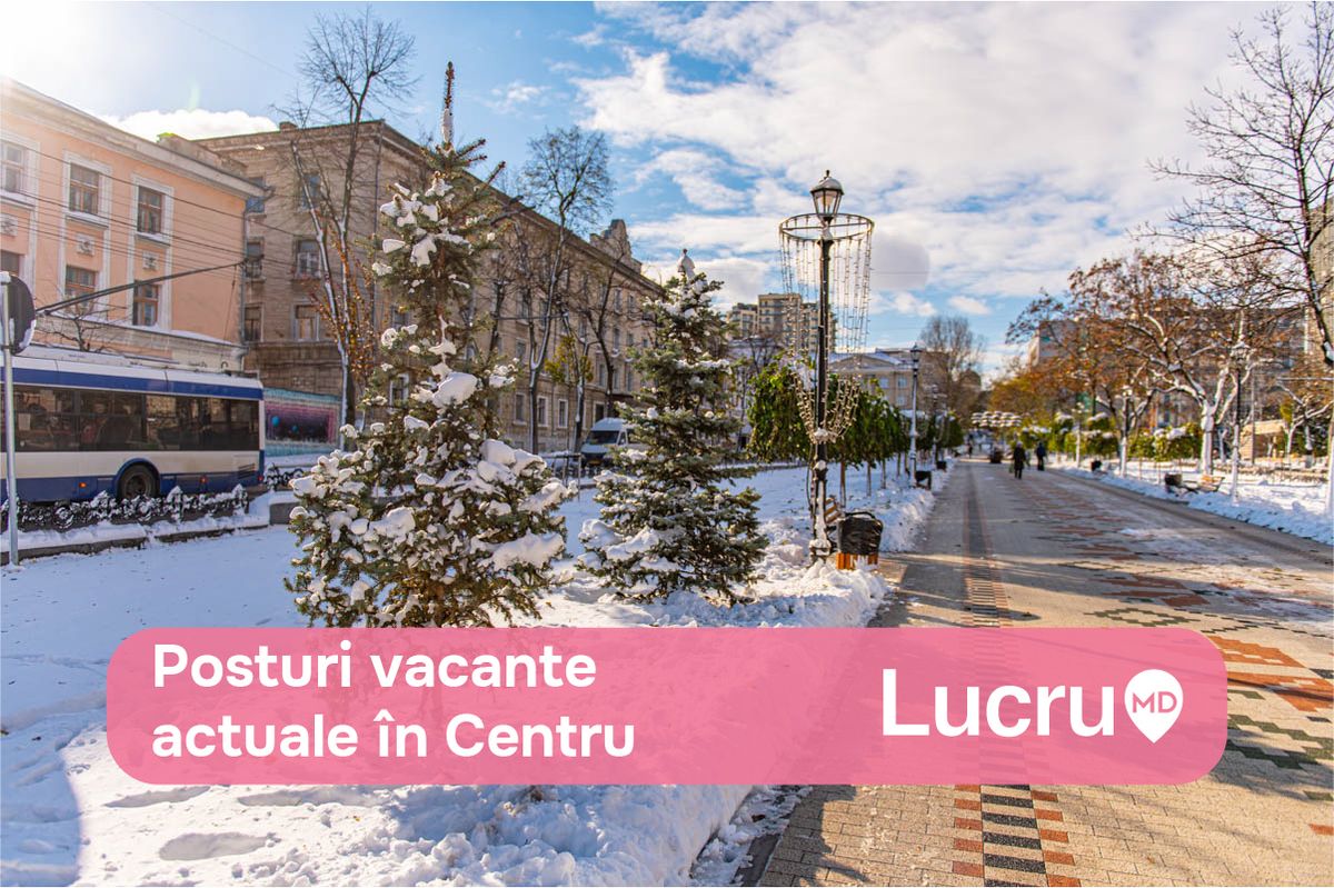 20 posturi vacante atractive în centru Chișinăului, pentru a te angaja până de Anul Nou