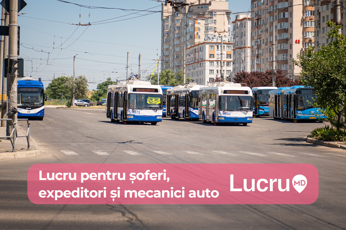 Șoferi, expeditori și mecanici. 10 posturi vacante în domeniul transportului