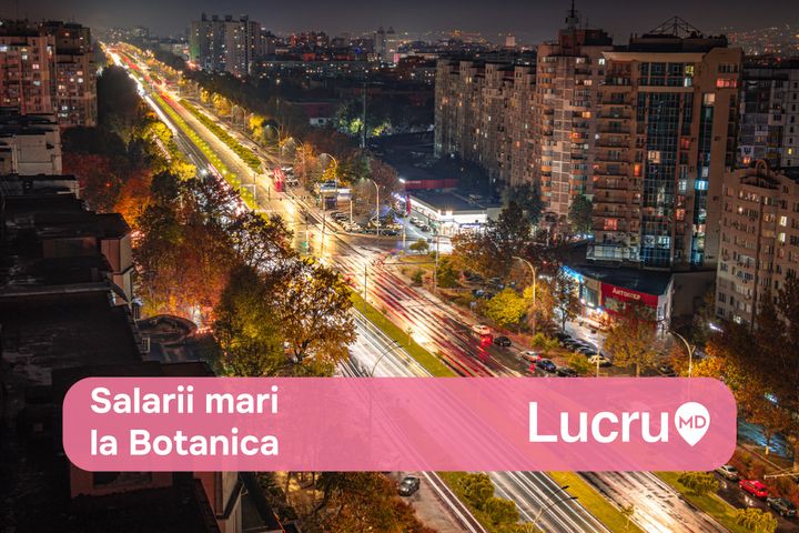 Top 20 cele mai plătite joburi din sectorul Botanica