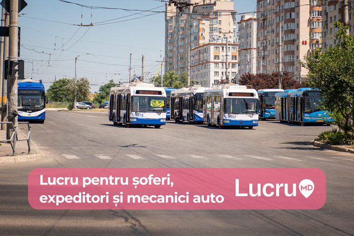 Șoferi, expeditori și mecanici. 10 posturi vacante în domeniul transportului